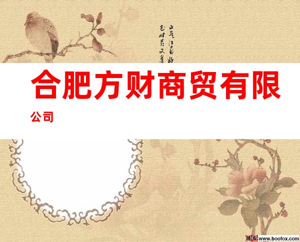 合肥方财商贸有限公司